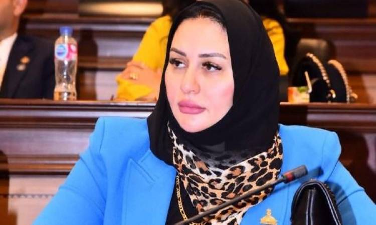 هل يخفف من معاناتها؟.. نائبة: تقترح استبدال مسمى ربة منزل بـ صانعة جيل
